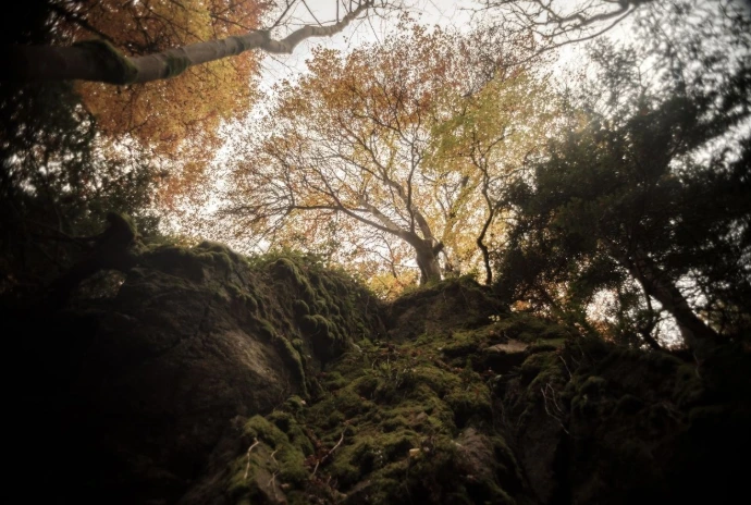 Ecosse - umanflow