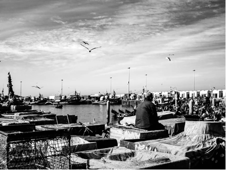 Maroc Essaouira umanflow